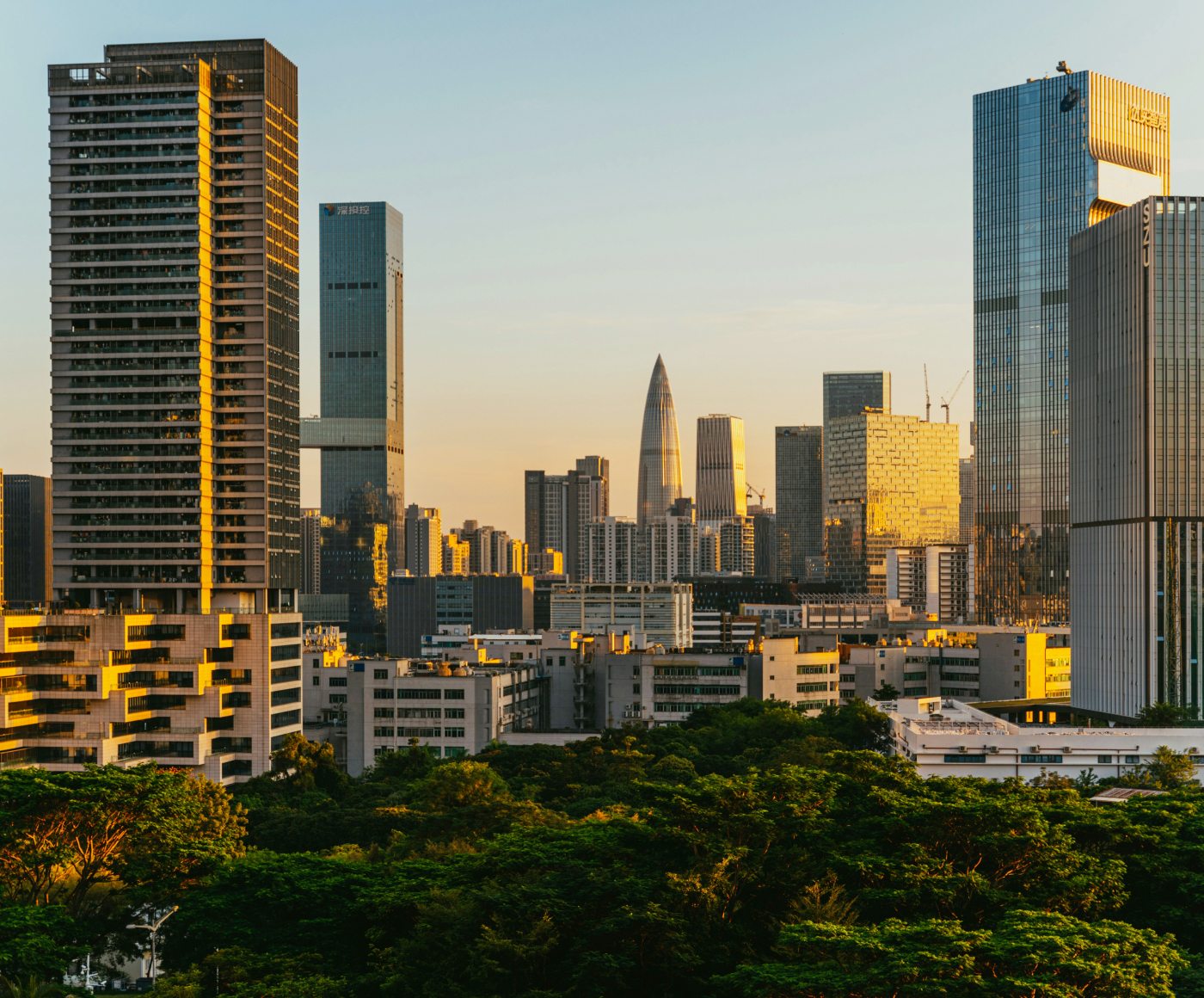 威高醫(yī)療 (深圳)